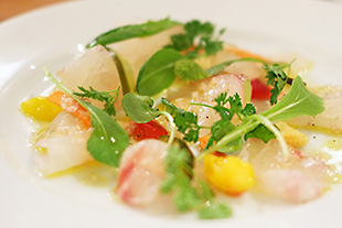 大人のドレッシング